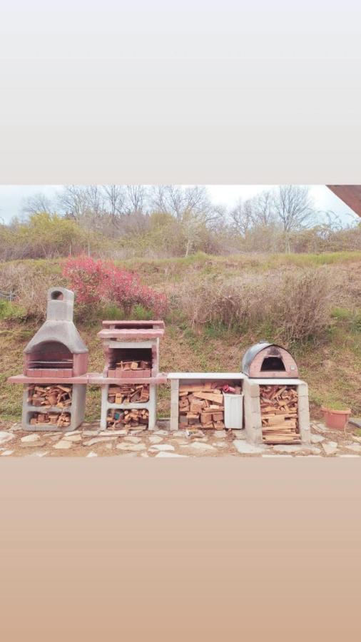 Il Podere Di Massi 바르베리노 디 무겔로 외부 사진