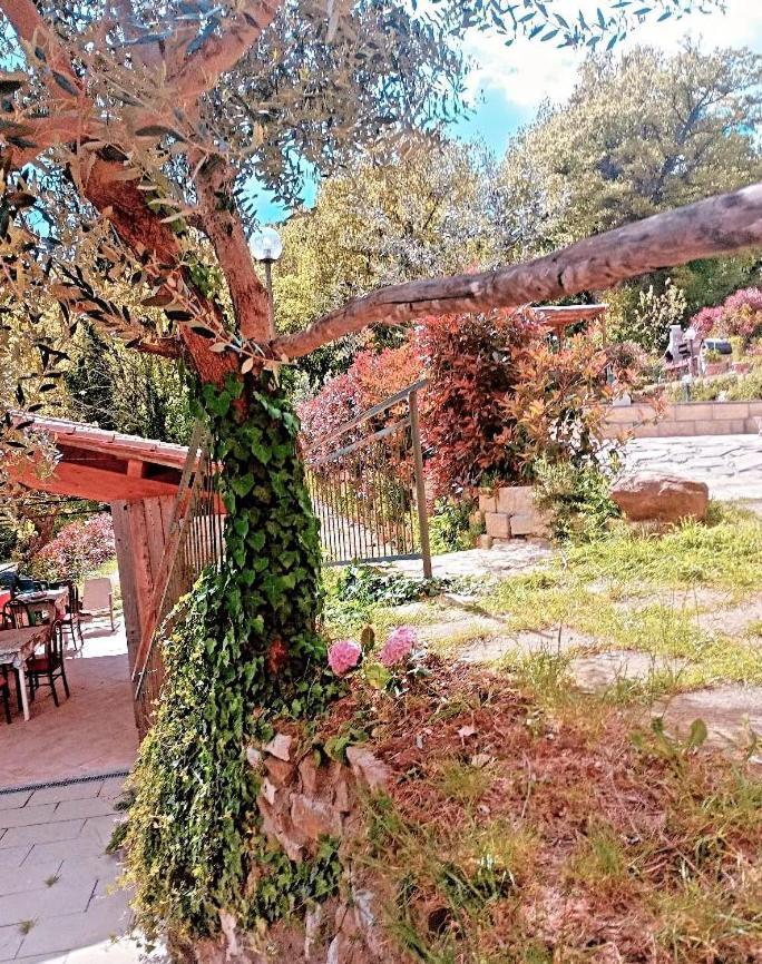 Il Podere Di Massi 바르베리노 디 무겔로 외부 사진