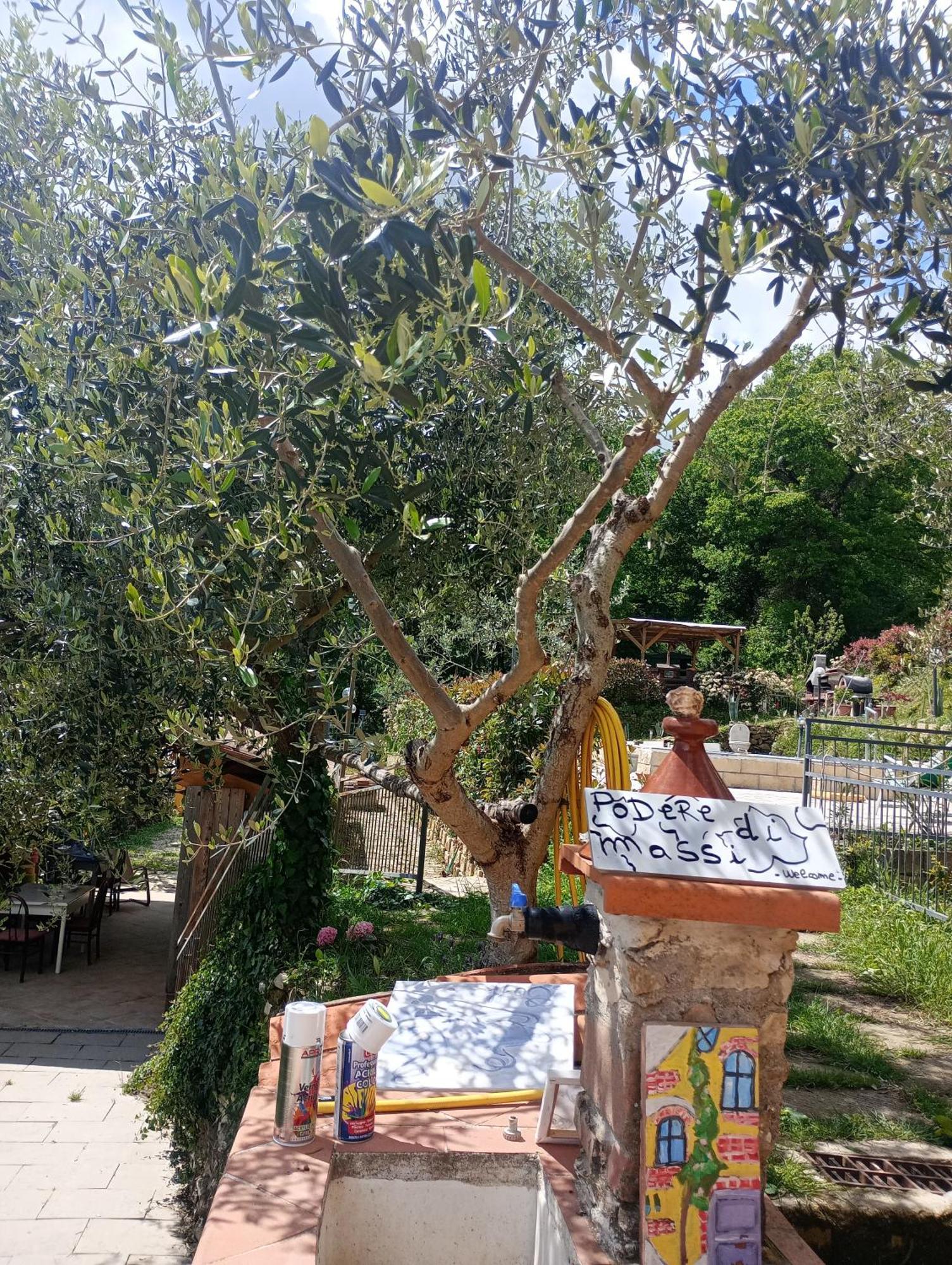 Il Podere Di Massi 바르베리노 디 무겔로 외부 사진